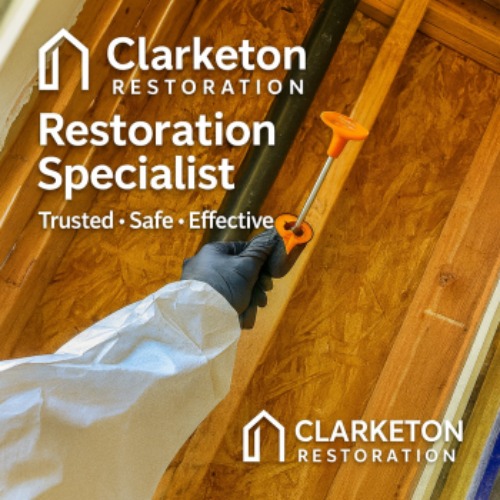 Image for Clarketon Restoration with ID of: 6797675