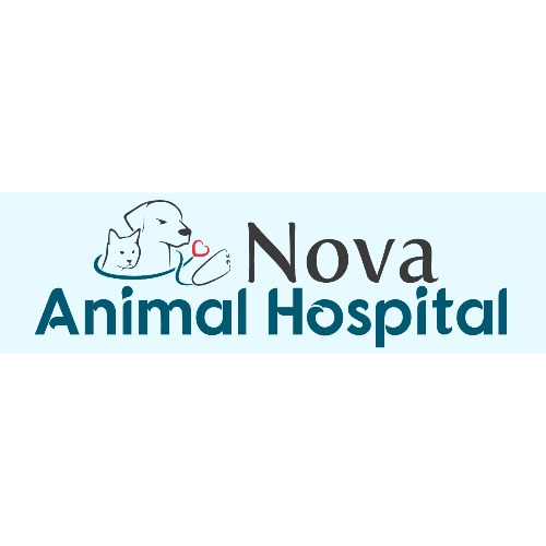 Image for Nova Animal Hospital with ID of: 6924869