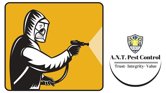 Image for A.N.T. Pest Control with ID of: 6798214