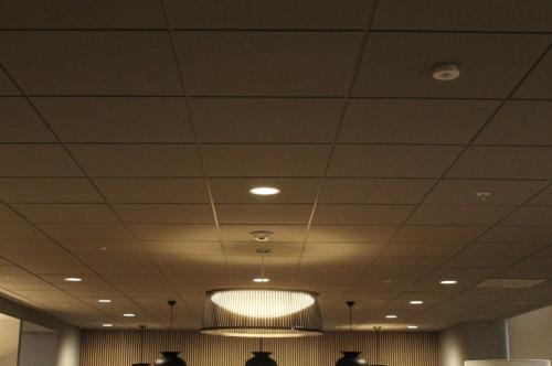 Image for Ceiling Pro with ID of: 6798421