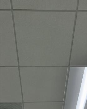 Image for Ceiling Pro with ID of: 6798422