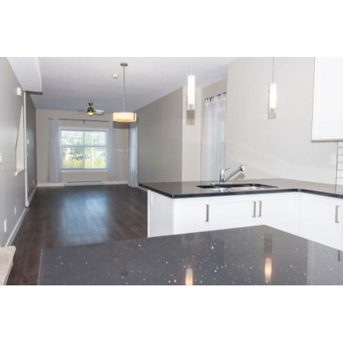 Image for Tammy Evans PREC with ID of: 6798486