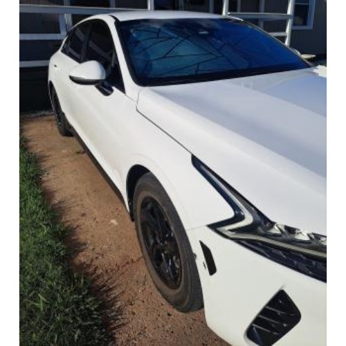 Image for Integrity Auto Hail Repair with ID of: 6800287