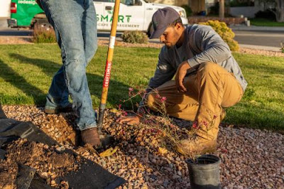 Image for Smart Landscape with ID of: 6800541