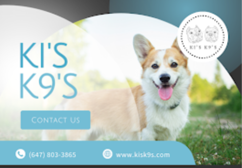Image for KI'S K9'S with ID of: 6801434