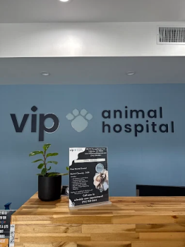 Image for VIP Animal Hospital with ID of: 6802154