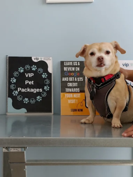 Image for VIP Animal Hospital with ID of: 6802159