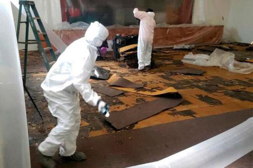 Image for Asbestos Removal Pro with ID of: 6802563