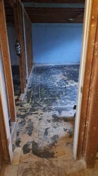 Image for Asbestos Removal Pro with ID of: 6802567