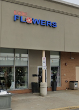 Image for The Studio at Barrie Flowers with ID of: 6802589