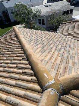 Image for Great White Pressure Cleaning with ID of: 6803986