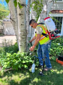 Image for TPS Landscaping with ID of: 6804937