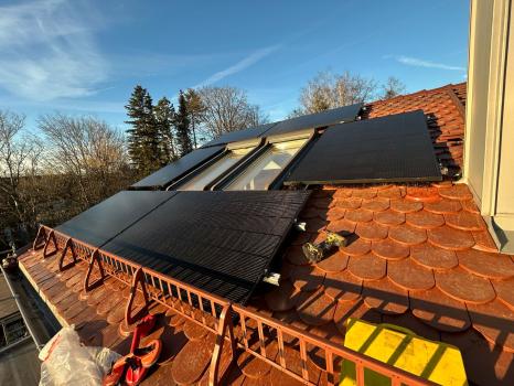 Image for Schön Solar GmbH with ID of: 6805221