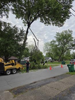 Image for Tree Care Inc with ID of: 6805296
