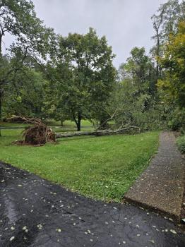 Image for Tree Care Inc with ID of: 6805298