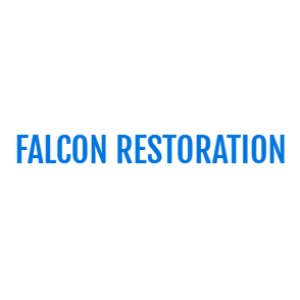 Image for Falcon Restoration with ID of: 6929736