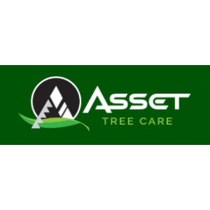 Image for Asset Tree Care with ID of: 6929818