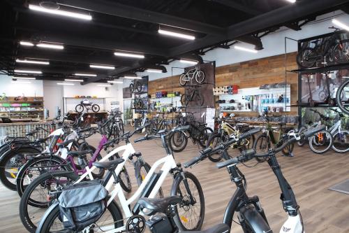 Image for eBikes Calgary with ID of: 6806793