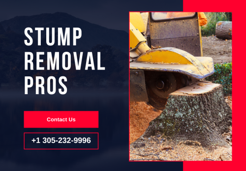 Image for Stump removal pros with ID of: 6806875