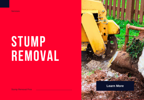 Image for Stump removal pros with ID of: 6806885