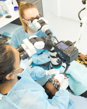 Image for Australian Dental Specialists with ID of: 6807911