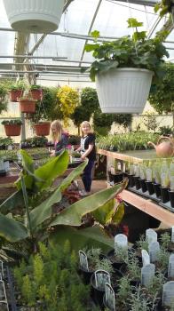 Image for Plants A Plenty with ID of: 6808773