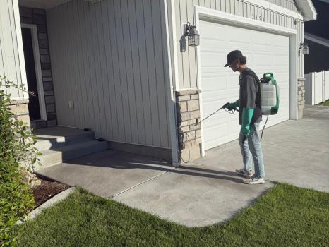 Image for DeWebb Pest Control with ID of: 6809013