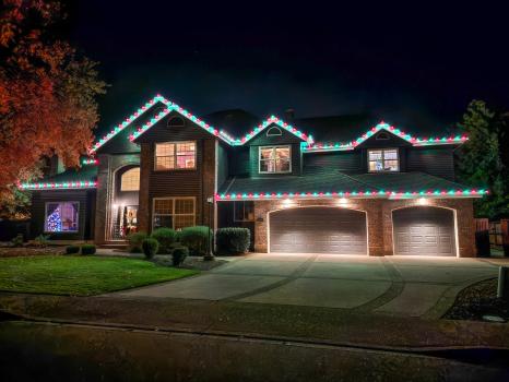Image for Premium Holiday Lights with ID of: 6809545