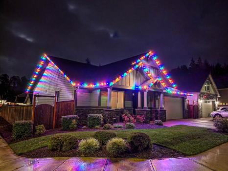 Image for Premium Holiday Lights with ID of: 6809547