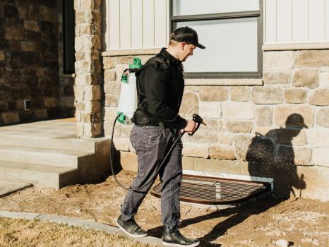 Image for Falls Pest Services with ID of: 6312930