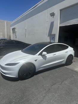 Image for Tru-Tints with ID of: 6810422