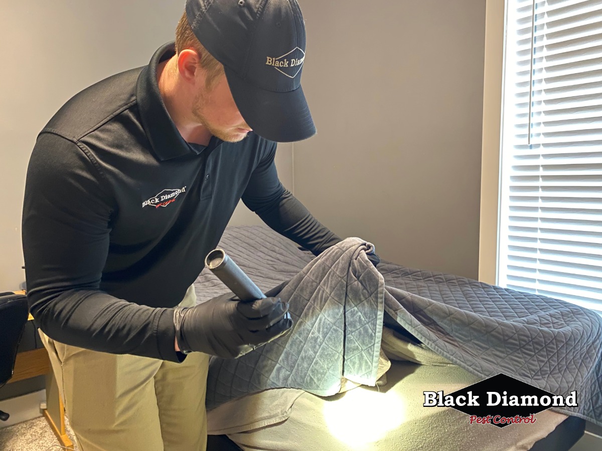 Image for Black Diamond Pest Control with ID of: 6810775