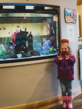 Image for Wright Smiles Pediatric Dentistry with ID of: 6811938