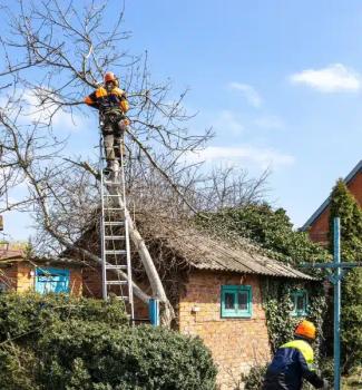 Image for Tree Care Inc. with ID of: 6812174