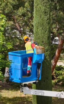 Image for Tree Care Inc. with ID of: 6812175