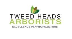 Image for Tweed Heads Arborists with ID of: 6930433