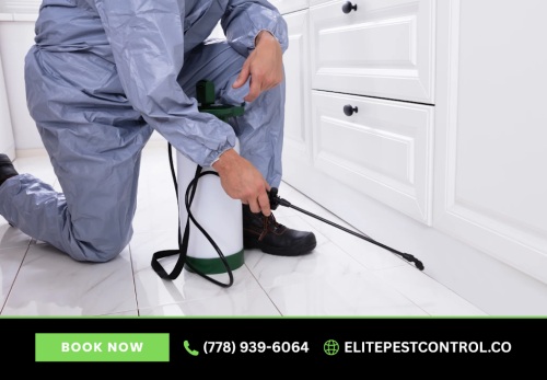 Image for Elite Pest Control LTD. with ID of: 6813611