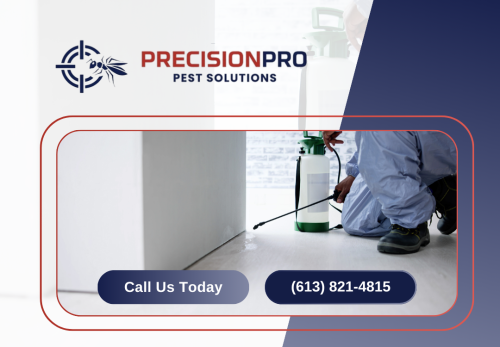 Image for PrecisionPro Pest Solutions with ID of: 6813804