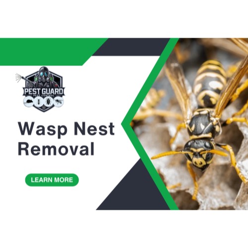 Image for Pestguard Pest Control with ID of: 6814300