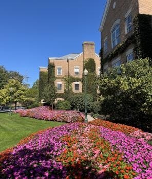 Image for Schultz CPA, LLC with ID of: 6521969