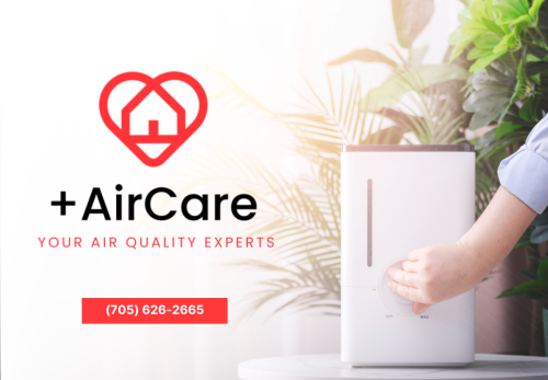 Image for Plus Air Care with ID of: 6814948