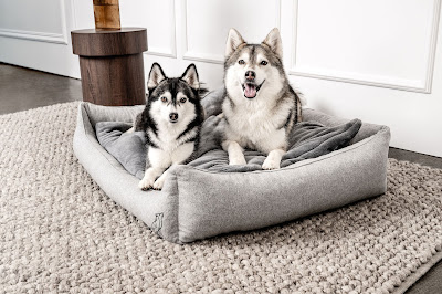 Image for MOUNTAINDOG with ID of: 6815363