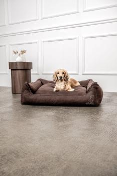 Image for MOUNTAINDOG with ID of: 6815364