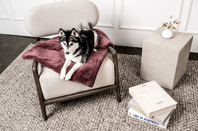 Image for MOUNTAINDOG with ID of: 6815365