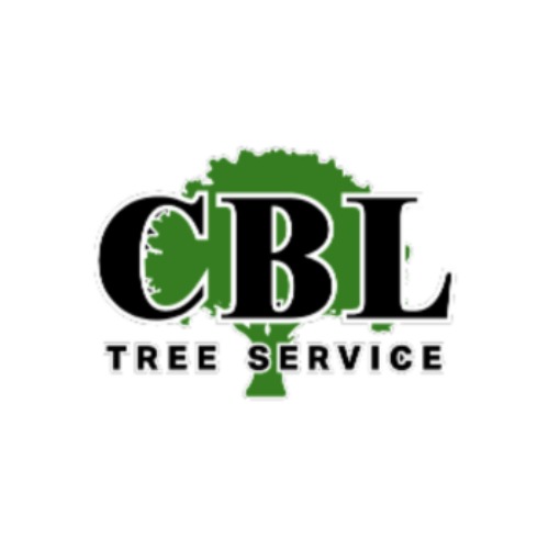Image for CBL Tree Service with ID of: 6815370