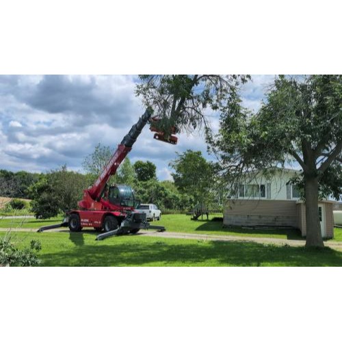 Image for CBL Tree Service with ID of: 6815469