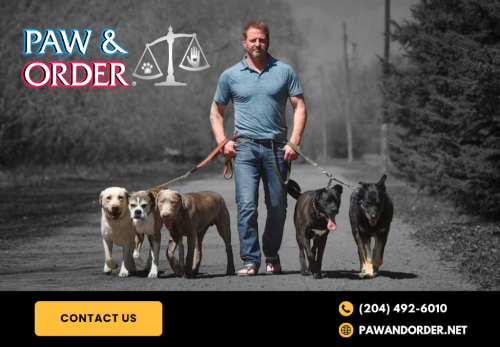 Image for PAW & ORDER ltd. Dog Training with ID of: 6816146