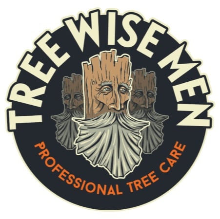 Image for Tree Wise Men Professional Tree Care with ID of: 6933827