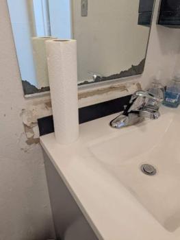 Image for Fast Mold Testing - Orlando with ID of: 6818002