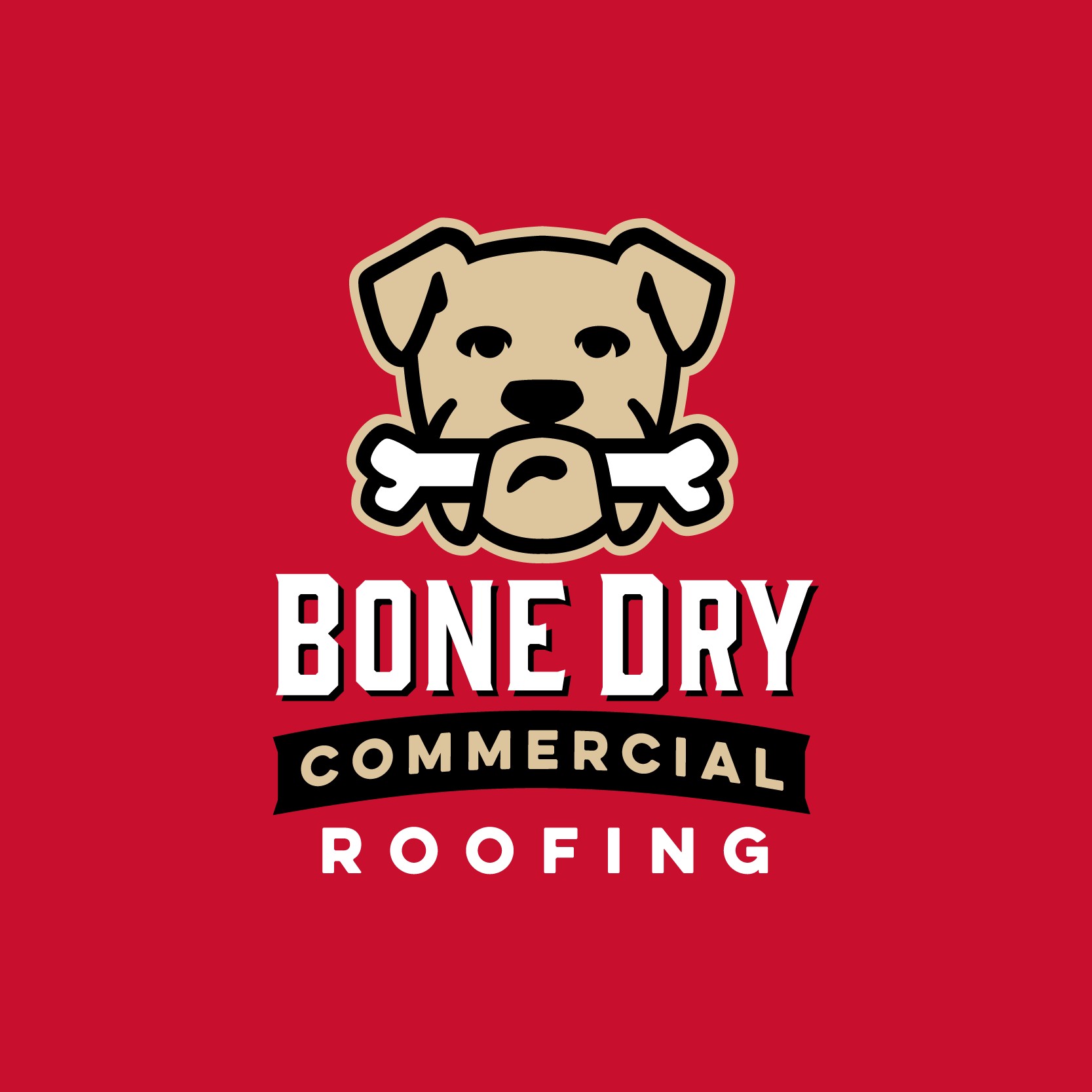Image for Bone Dry Commercial Roofing with ID of: 6936484